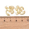 Brass Pendants KK-C143-46G-G04-3