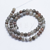 Round Natural Botswana Agate Bead Strands X-G-I166-02-6mm-4