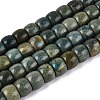Natural Shoushan Jade Beads Strands G-Q616-02A-08-2