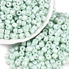 Baking Paint Pearlized Glass Seed Beads SEED-T008-03P-1