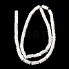 Natural Trochid Shell/Trochus Shell Beads Strands SHEL-A006-06A-2