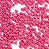 Baking Paint Glass Seed Beads SEED-A032-02M-3
