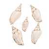 5Pcs Electroplated Natural Shell Pendants BSHE-YW0001-10-1