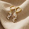 304 Stainless Steel & Clear Cubic Zirconia Hoop Earrings FS-WGFBAB4-01-1