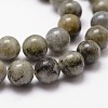 Natural Labradorite Bead Strands G-G735-29-6mm-3