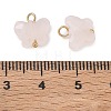 Natural Mixed Stone Pendants KK-D289-61G-4