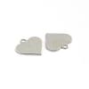 Tarnish Resistant 304 Stainless Steel Charms STAS-D431-27-2