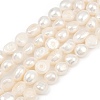 Natural Cultured Freshwater Pearl Beads Strands PEAR-P064-20K-01A-01-2