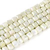 Anti-Tarnish Electroplate Glass Beads Strands GLAA-T025-4mm-10D-1