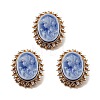 Resin Women Cameo Brooches JEWB-P013-11G-4