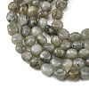 Natural Labradorite Beads Strands G-P623-A03-02-4