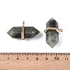 Natural Labradorite Double Terminal Pointed Pendants G-N345-09H-3