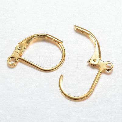 304 Stainless Steel Leverback Earring Findings STAS-G081-61G-1