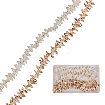 Natural Spiral Shell Beads Strands BSHE-SZ0001-05-1