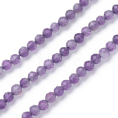 Natural Amethyst Beads Strands G-F619-12-2mm-1