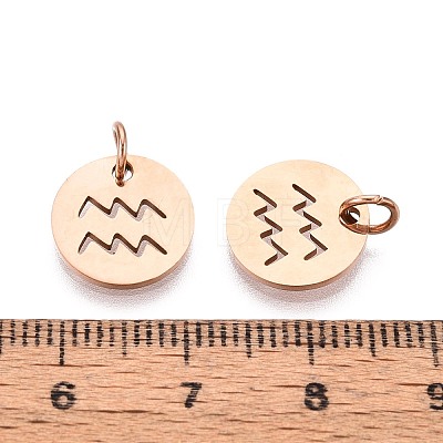 304 Stainless Steel Charms STAS-Q201-T445-11R-1