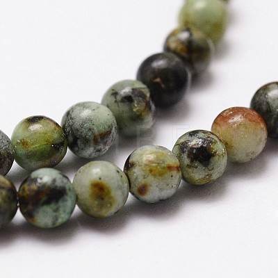 Natural African Turquoise(Jasper) Beads Strands G-D840-90-10mm-1