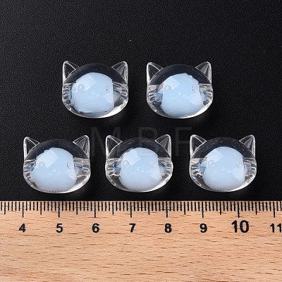 Transparent Acrylic Beads MACR-S373-115-B08-1