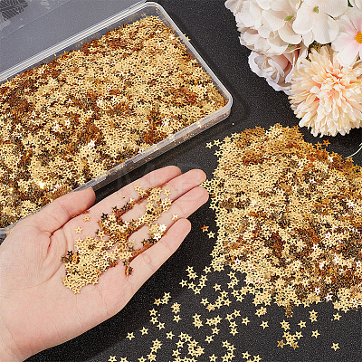 100G PET Paillette/Sequins Pendants KY-CY0001-24A-1