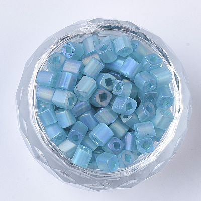 6/0 Transparent Glass Seed Beads SEED-S027-03B-12-1