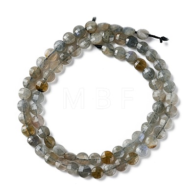 Natural Labradorite Beads Strands G-D0003-A94-1