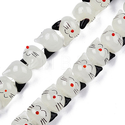 Handmade Lampwork Beads Strands LAMP-T017-19-1