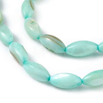 Natural Freshwater Shell Dyed Beads Strands SHEL-M018-13-02-1