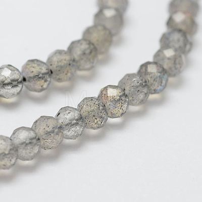 Natural Labradorite Bead Strands G-P271-3mm-07-1