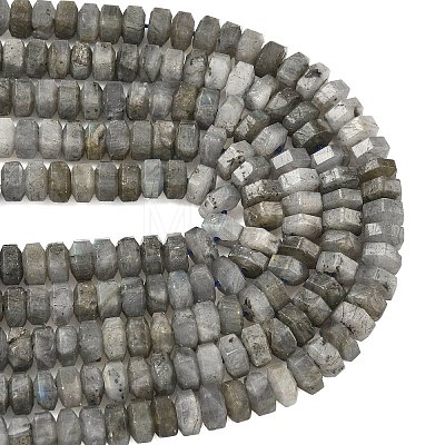 Natural Labradorite Beads Strands G-L654-I05-01-1