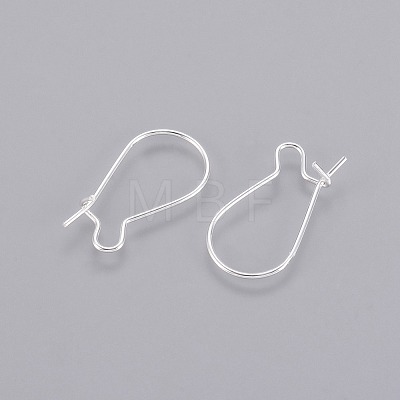 Brass Hoop Earrings Findings Kidney Ear Wires X-KK-G184-S-1