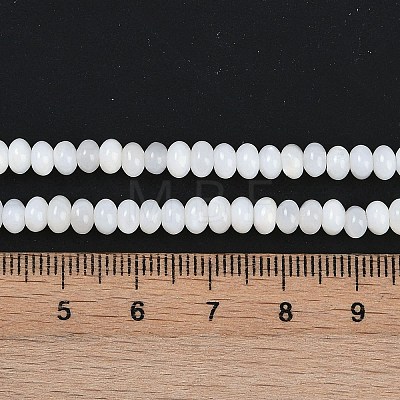 Natural Freshwater Shell Beads Strands BSHE-H109-15A-1