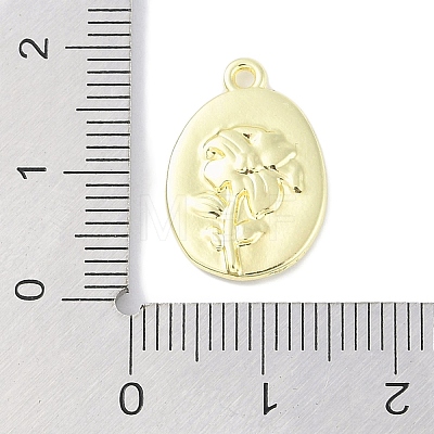 Rack Plating Spray Painted Alloy Pendants PALLOY-F018-14G-02-1