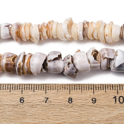 Natural Shell Beads Strands SH-CBA2978-03-1