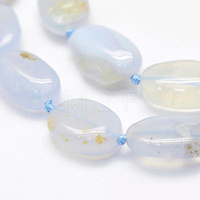 Natural Agate Beads Strands G-K202-14A-1