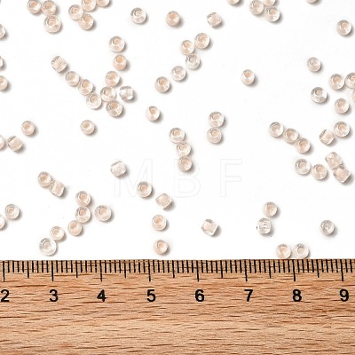 6/0 Transparent Glass Seed Beads SEED-F003-03A-12-1