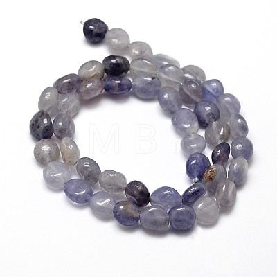 Natural Cordierite/Iolite/Dichroite Nuggets Beads Strands G-J336-10-1