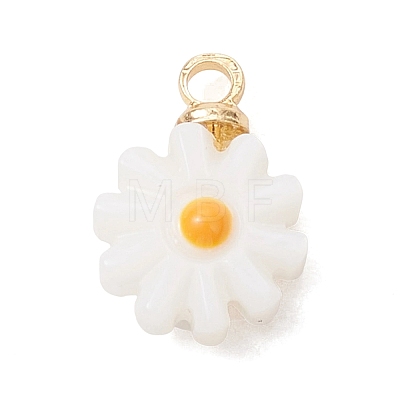 4Pcs 4 Styles Natural Freshwater Shell Enamel Flower Charms with Brass Bails PALLOY-JF04895-1