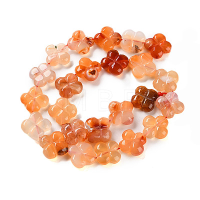 Natural Agate Beads Strands G-H024-C01-01-1