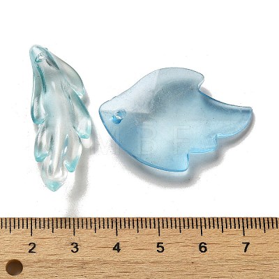 Transparent Frosted Acrylic Beads X-OACR-H039-06-1
