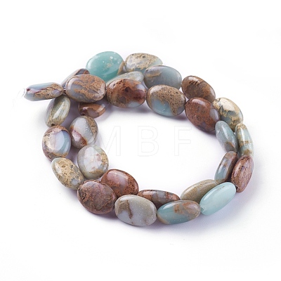 Natural Aqua Terra Jasper Beads Strands G-F612-05-1