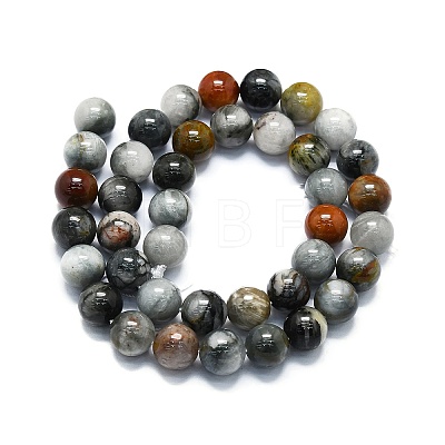 Natural Eagle Eye Stone Beads Strands G-K245-A09-05-1