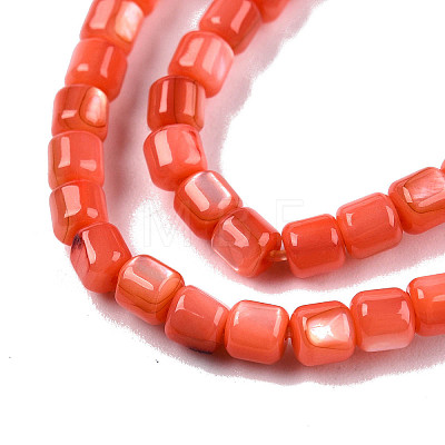 Natural Freshwater Shell Beads Strands X-SHEL-N003-33-A06-1