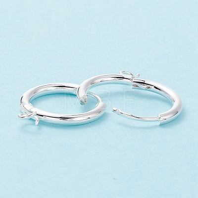 201 Stainless Steel Huggie Hoop Earring Findings STAS-P283-01R-S-1