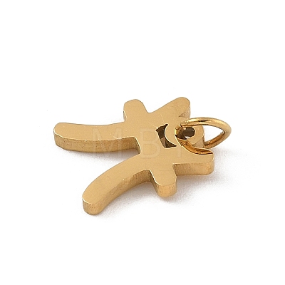 304 Stainless Steel Charms LS-STAS-R001-04G-12-1