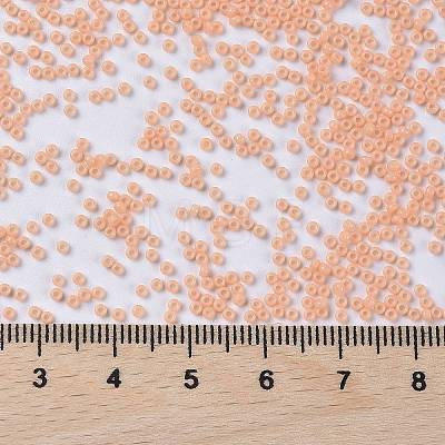 MIYUKI Round Rocailles Beads X-SEED-G009-RR4461-1