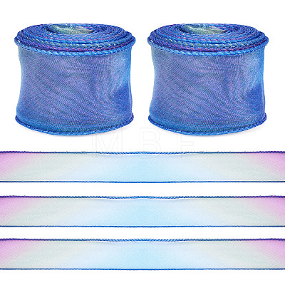 2 Rolls Polyester Mesh Ribbons SRIB-TA0003-42A-1