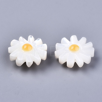 Natural White Shell Mother of Pearl Shell Beads SHEL-S266-13B-1