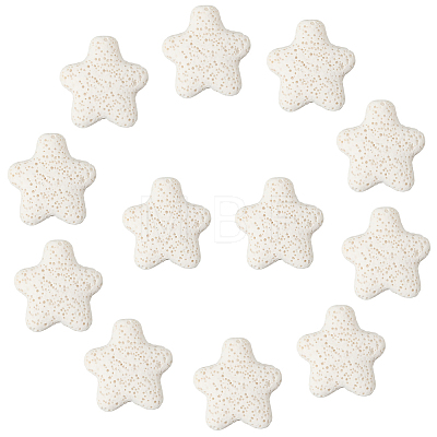 24Pcs Star Synthetic Lava Rock Beads G-PA0002-25B-1