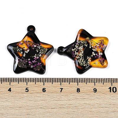 Epoxy Resin Pendants RESI-S09-01C-RS-1