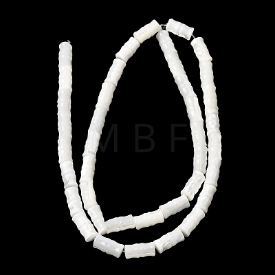 Natural Trochid Shell/Trochus Shell Beads Strands SHEL-A006-06A-1